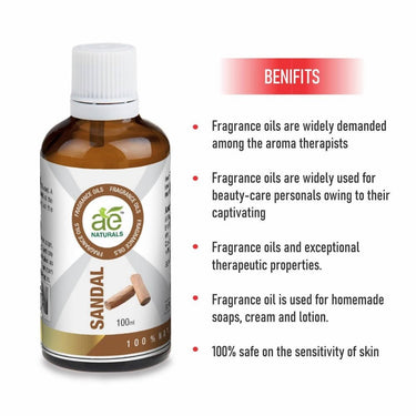 https://cdn.shopify.com/s/files/1/1857/6931/files/uzdIIAJop4-129389.jpg?v=1736143866